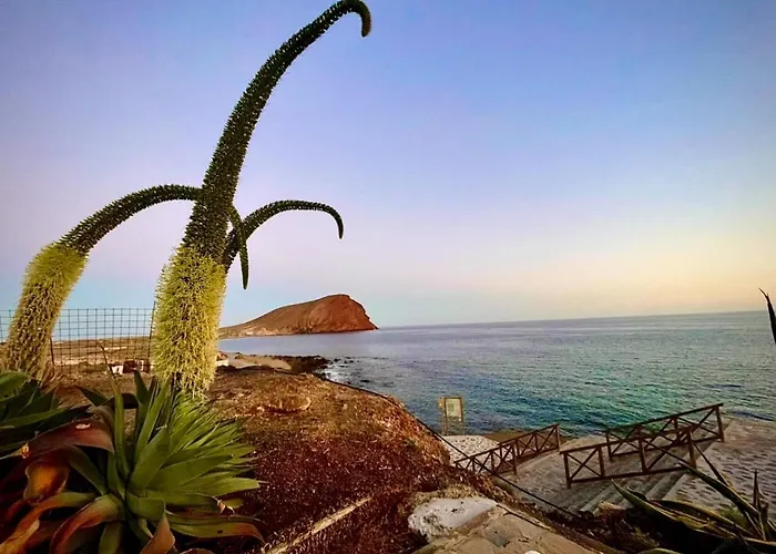 Chill Out Family House 1